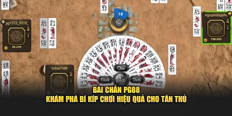 Chắn
